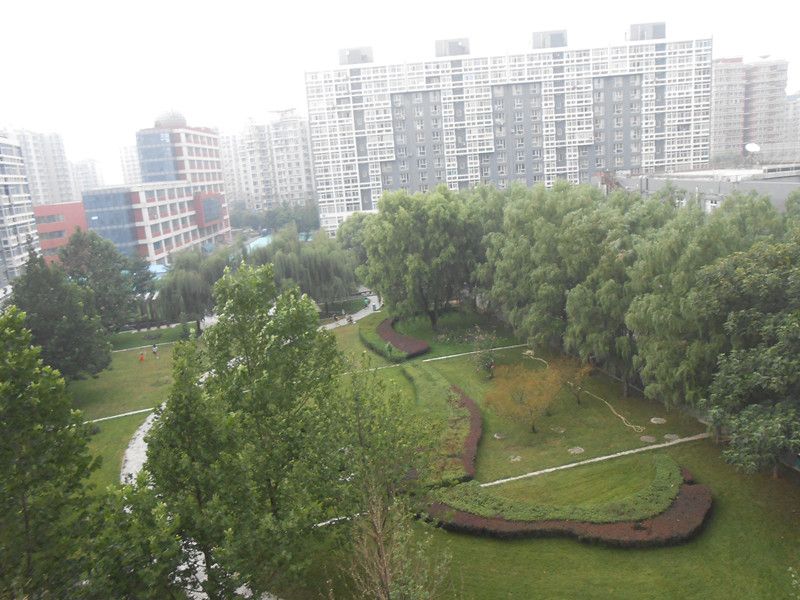 蜂鸟家园 environment