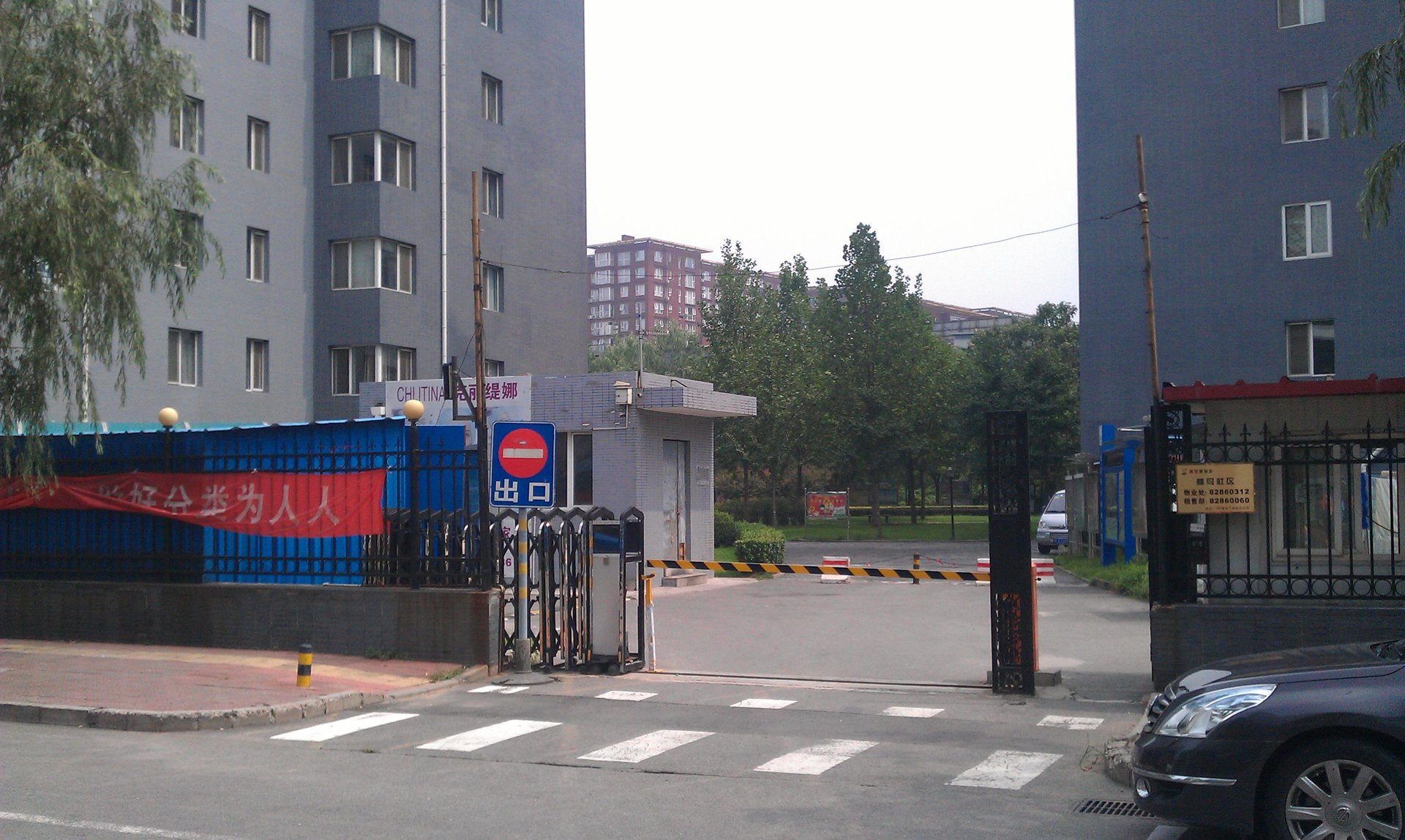 蜂鸟家园 environment