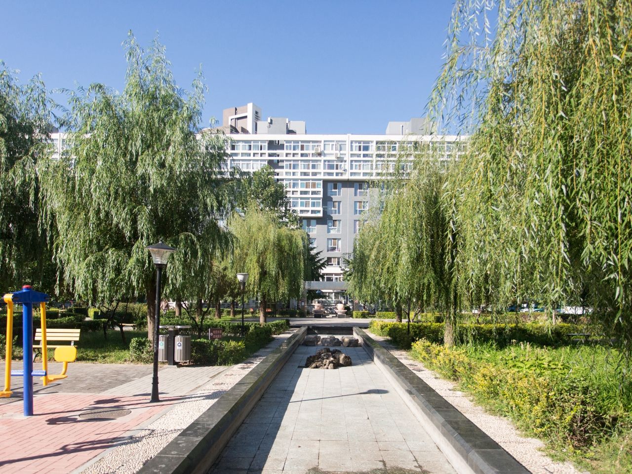 蜂鸟家园 environment