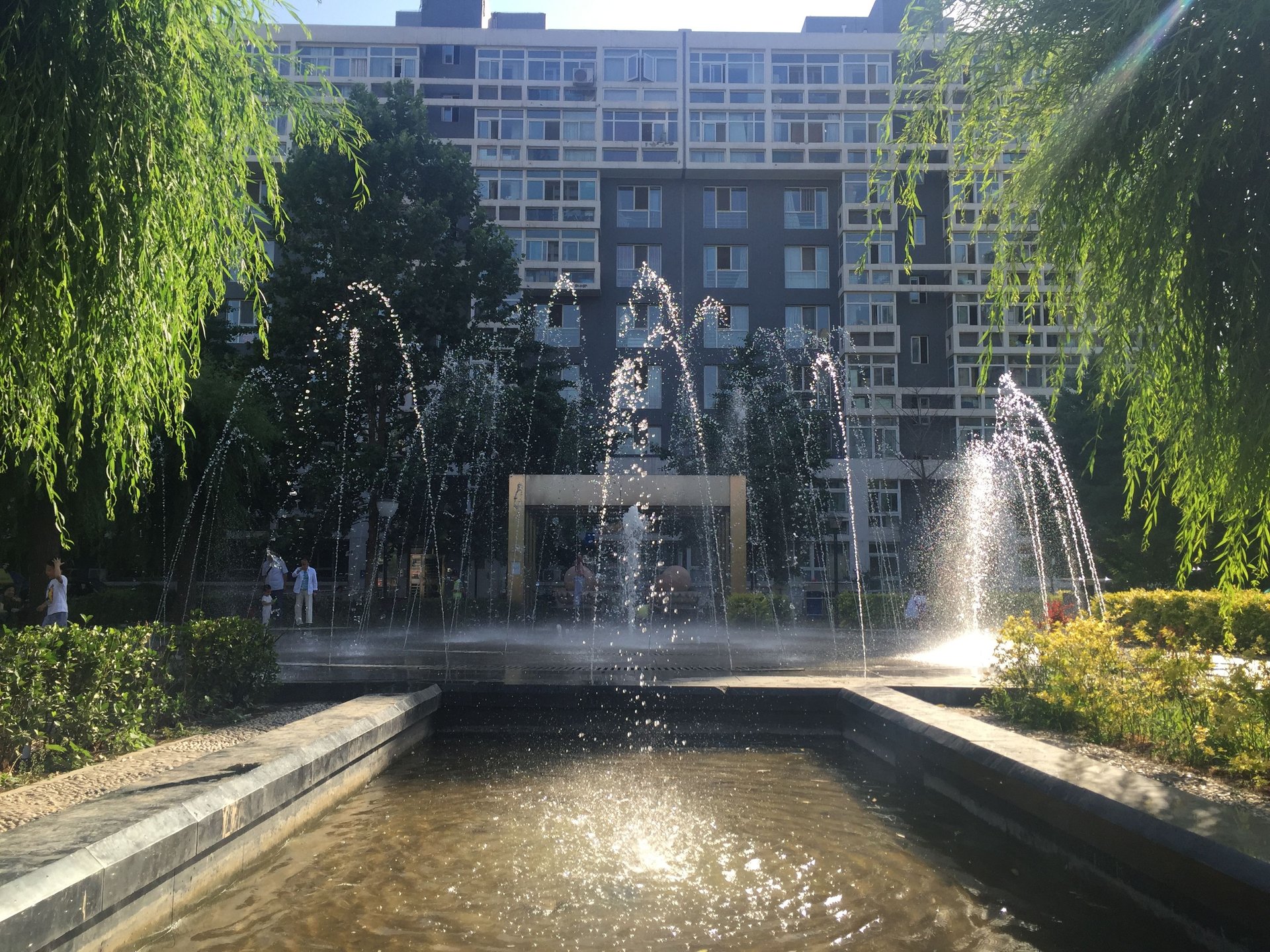 蜂鸟家园 environment