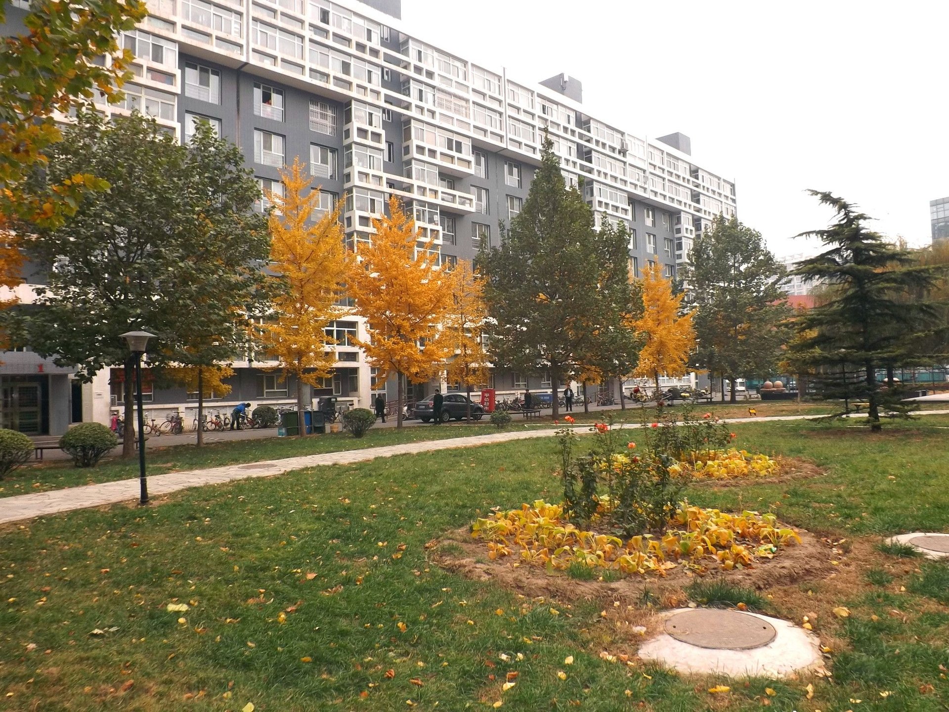 蜂鸟家园 environment