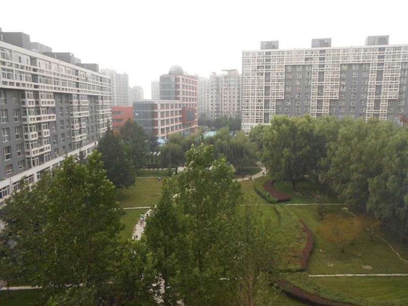 蜂鸟家园 environment