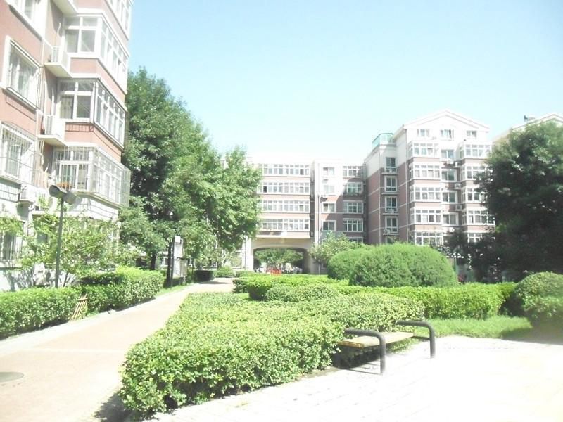 风雅园三区 environment