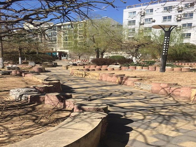 枫泽园 environment