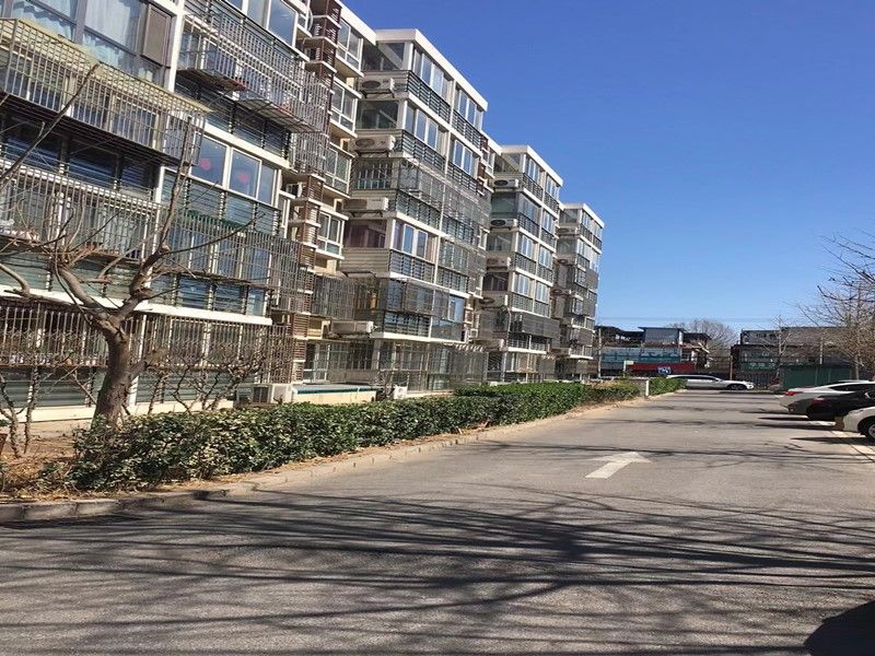 枫泽园 environment