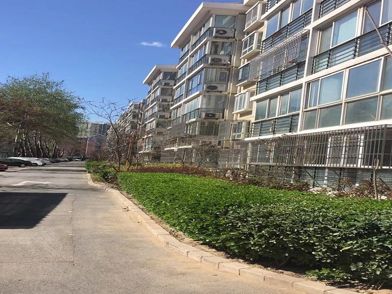 枫泽园 environment