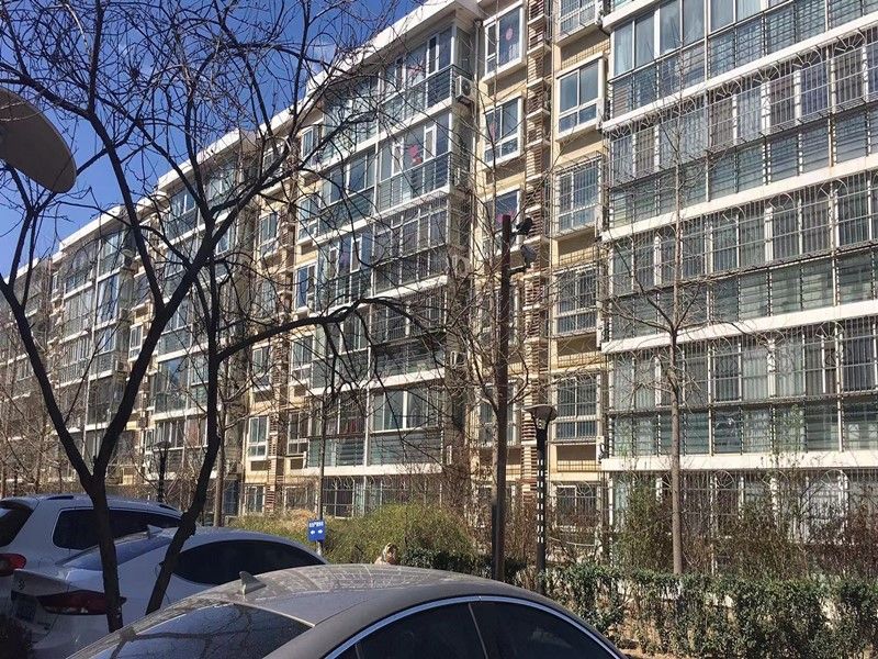 枫泽园 environment