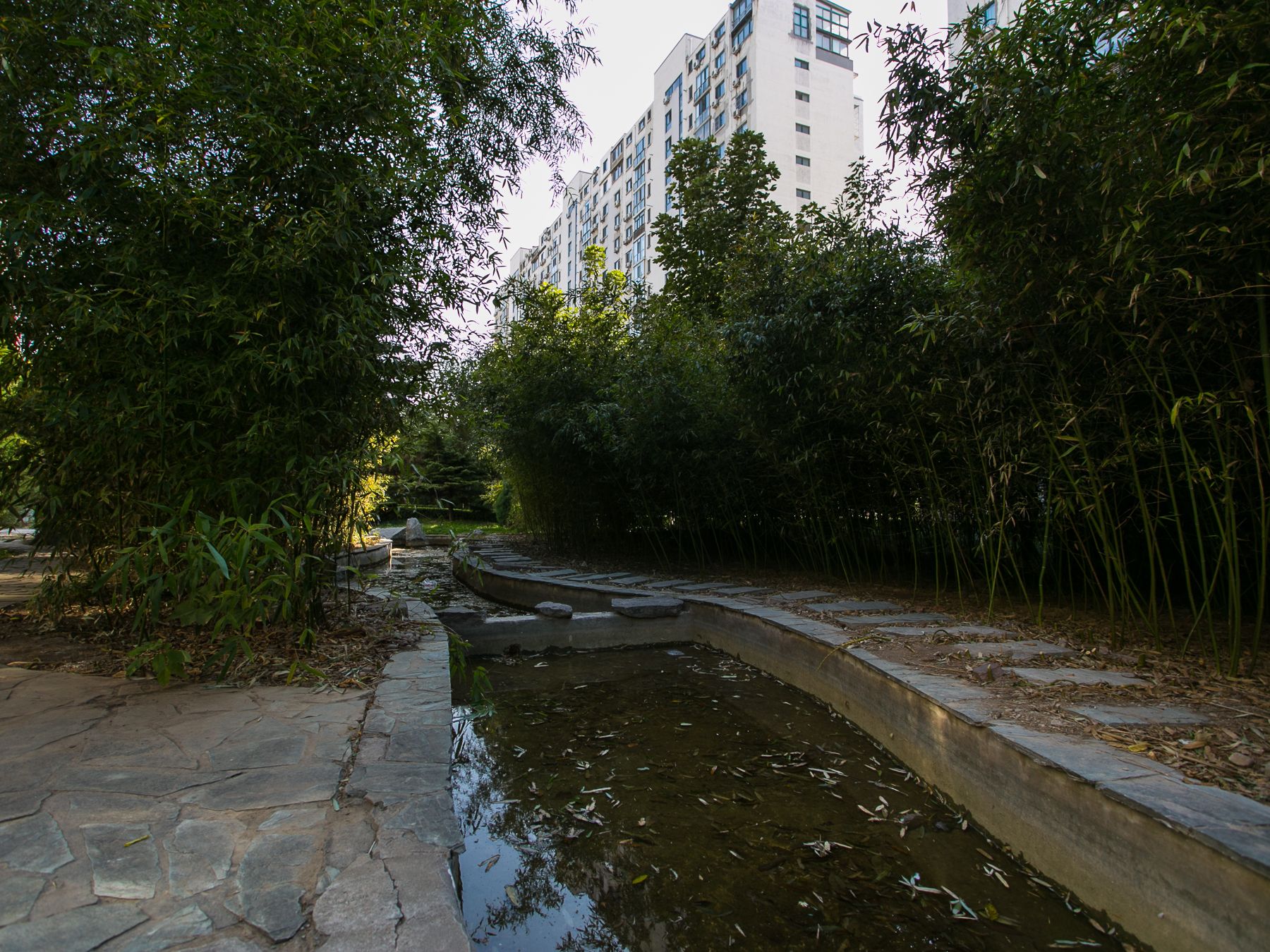 枫竹苑二区 environment