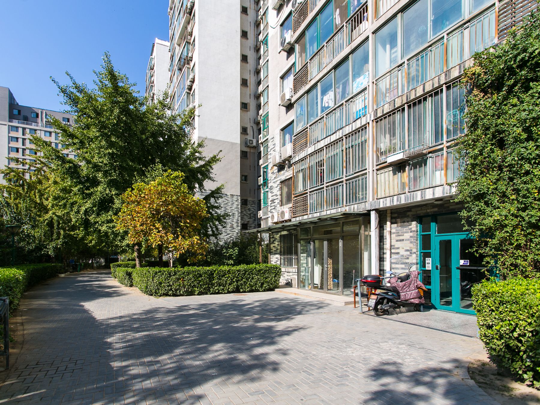 枫竹苑二区 environment