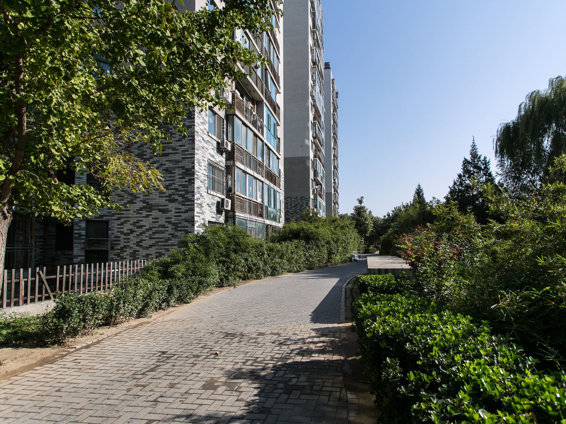 枫竹苑二区 environment