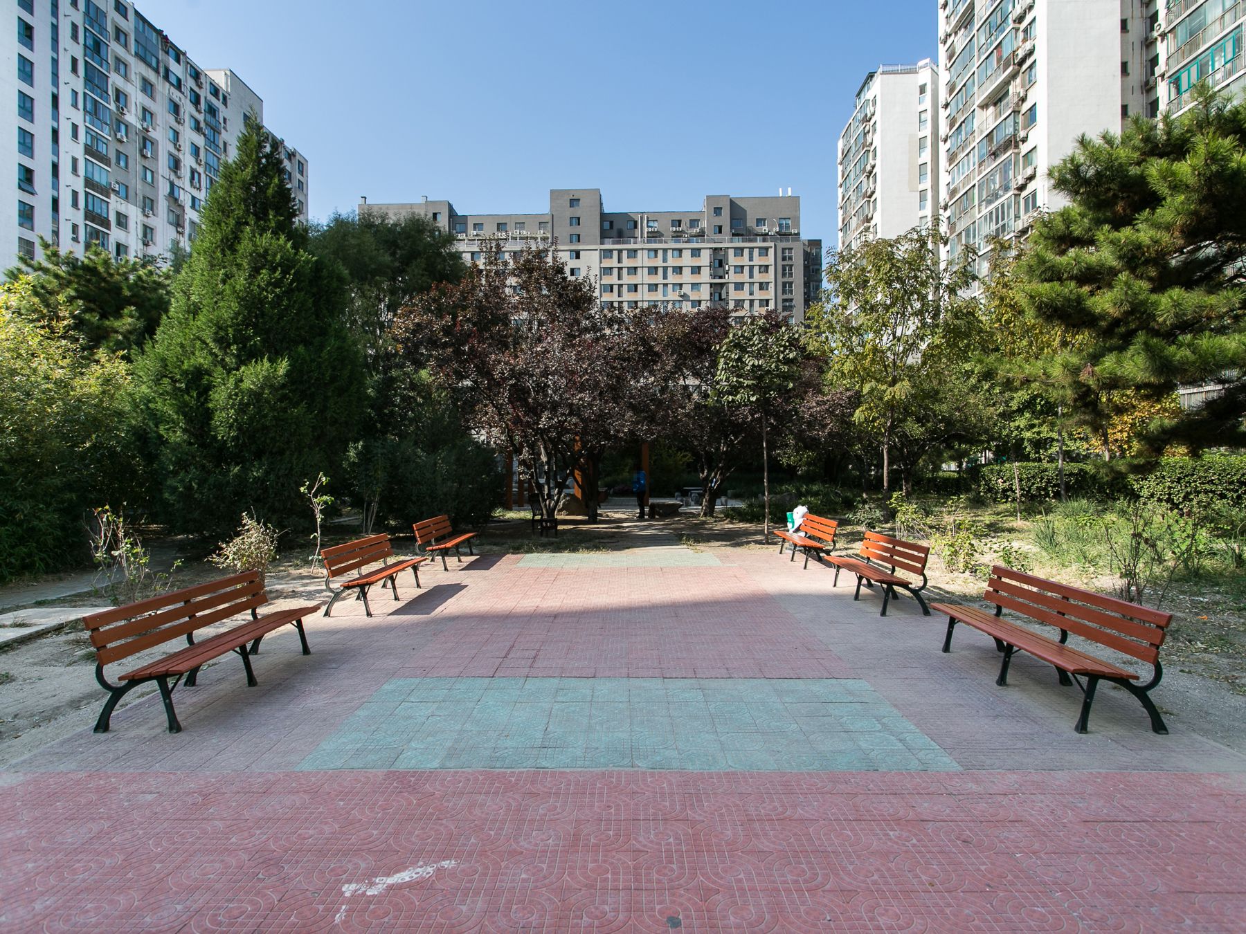 枫竹苑二区 environment