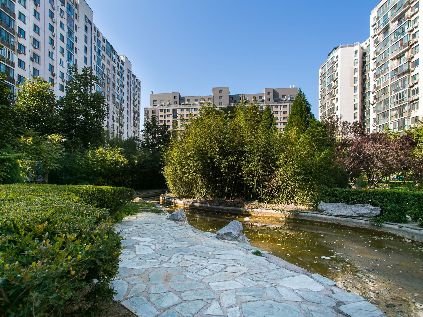 枫竹苑二区 environment