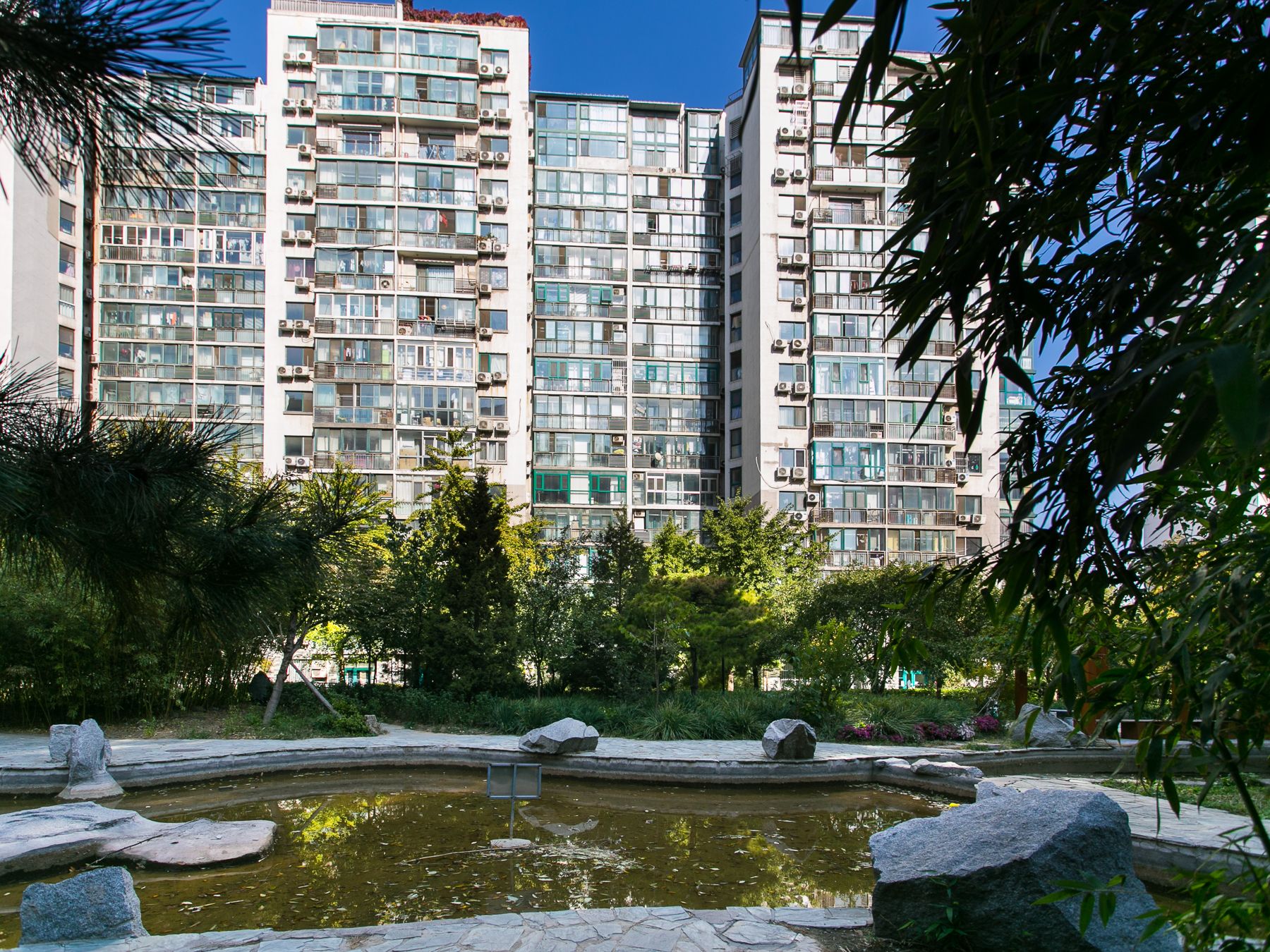 枫竹苑二区 environment