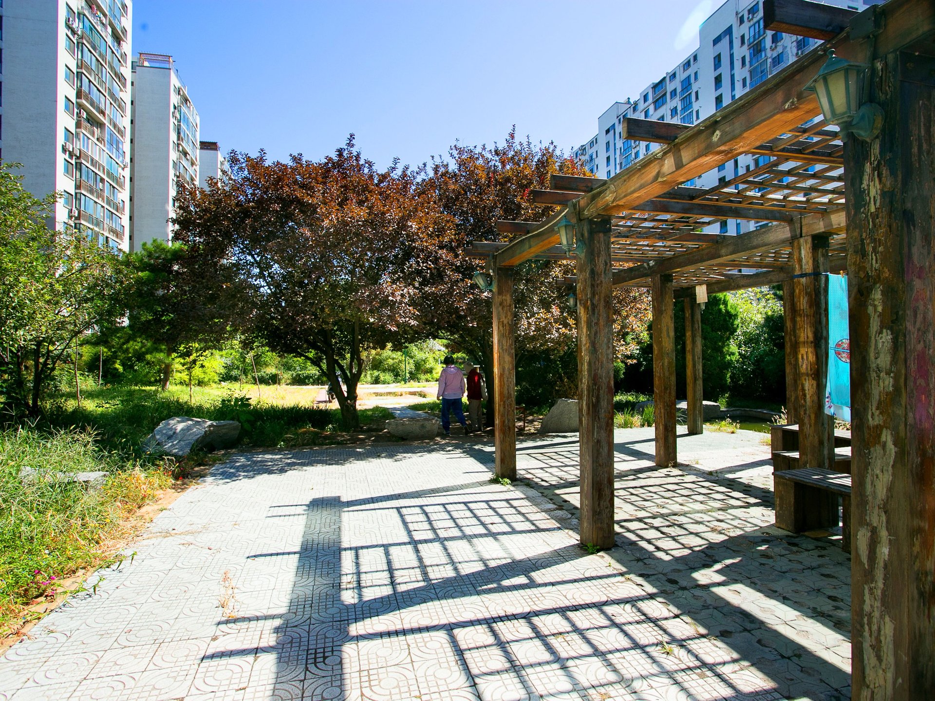 枫竹苑二区 environment