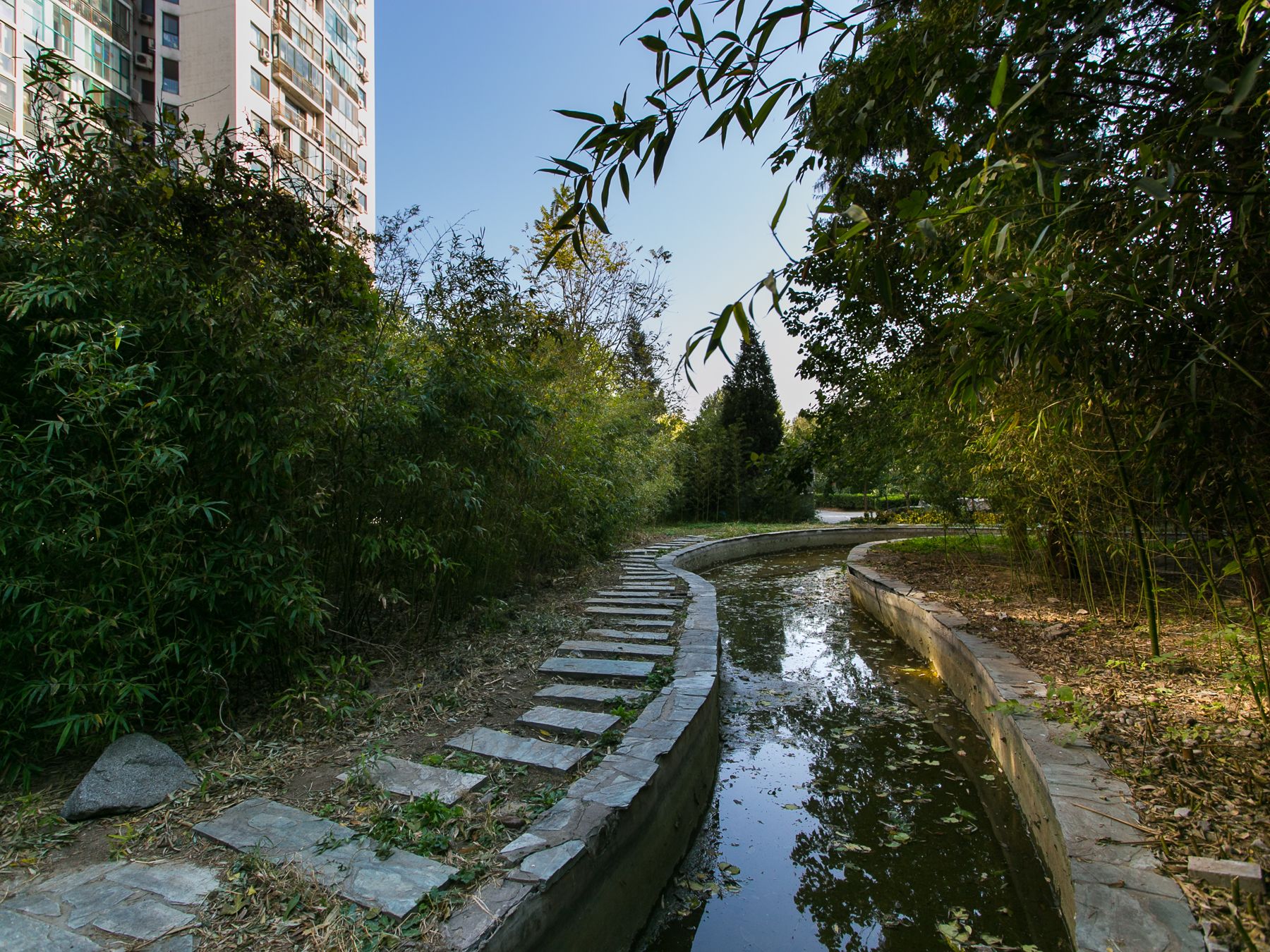 枫竹苑二区 environment