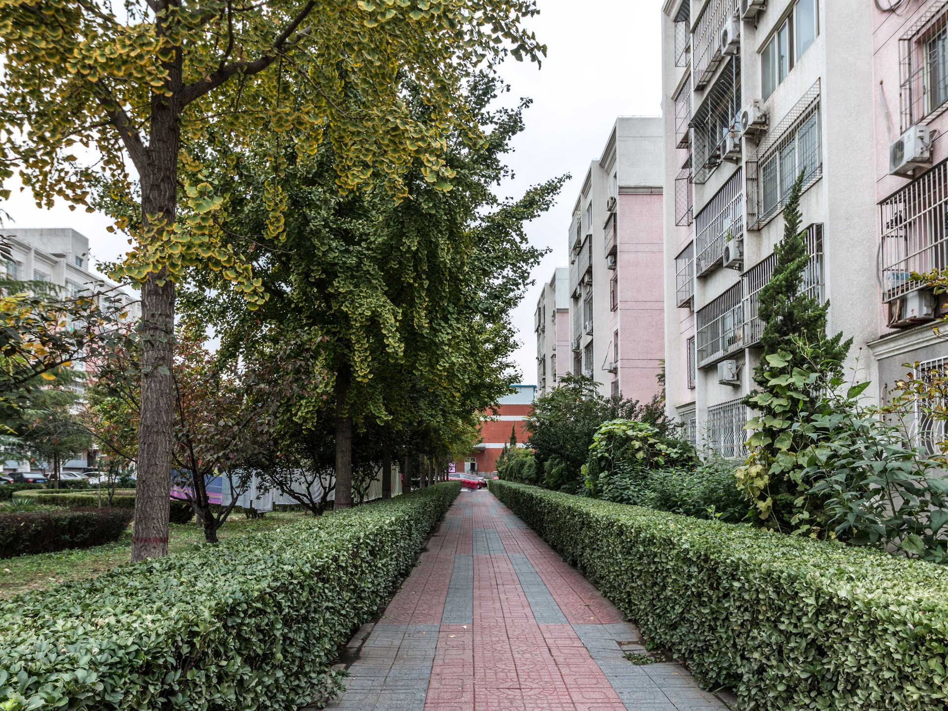 富锦嘉园二区 environment