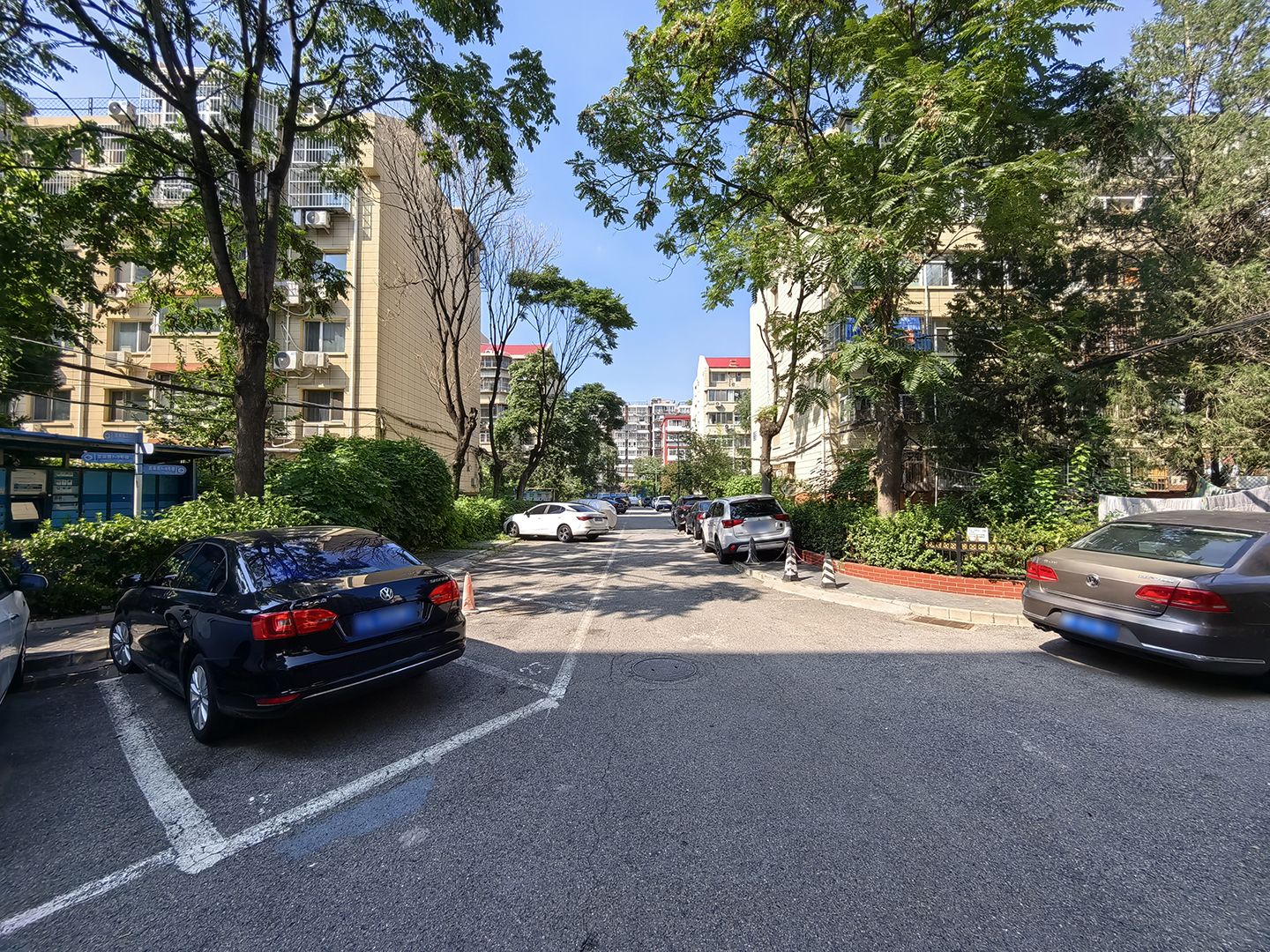 富莱茵花园 environment