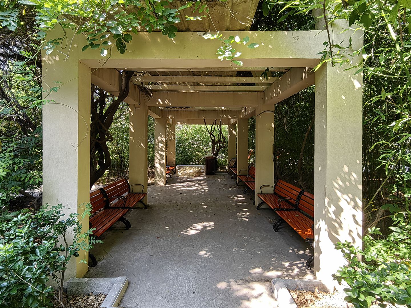 富莱茵花园 environment