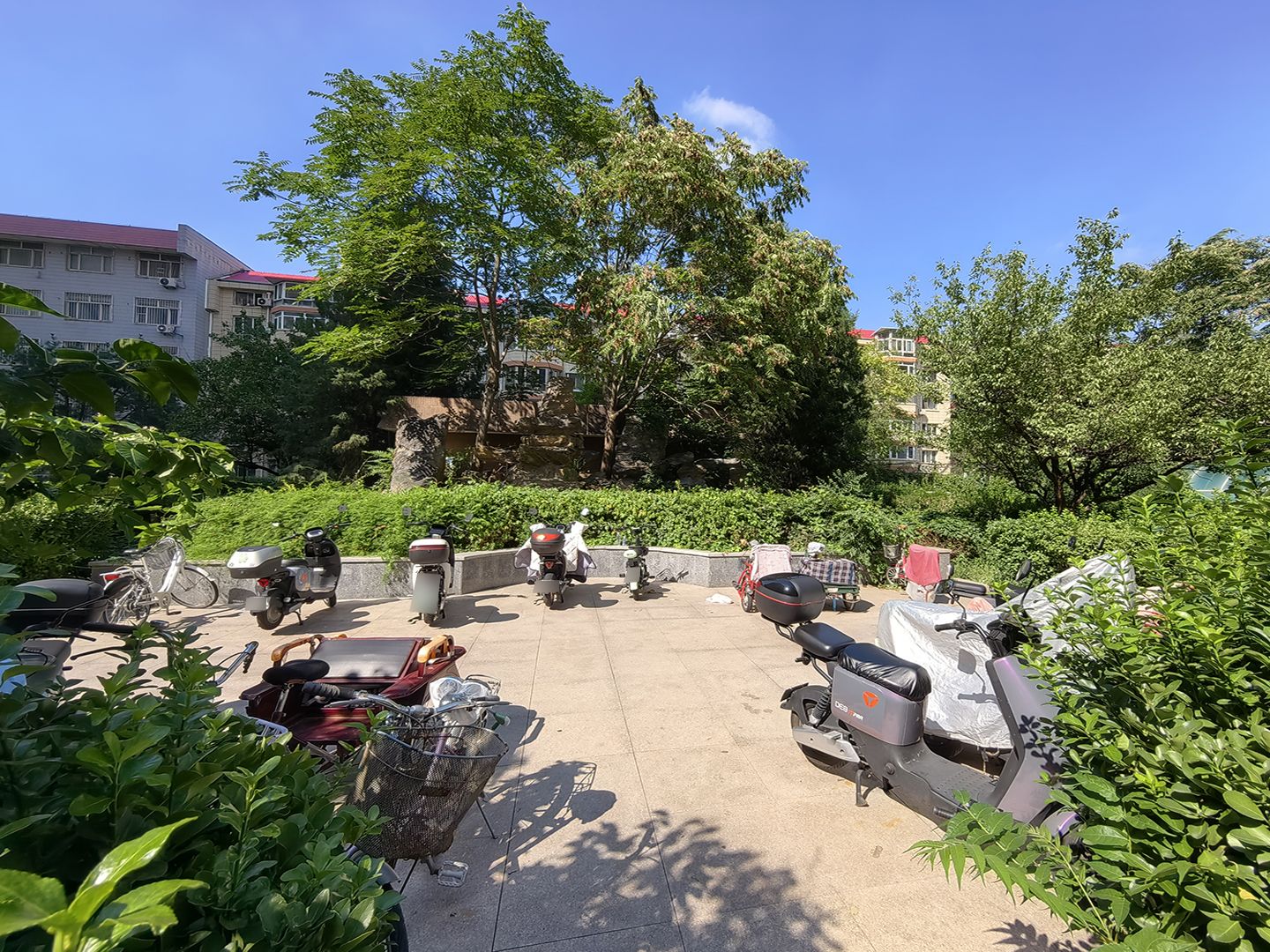 富莱茵花园 environment