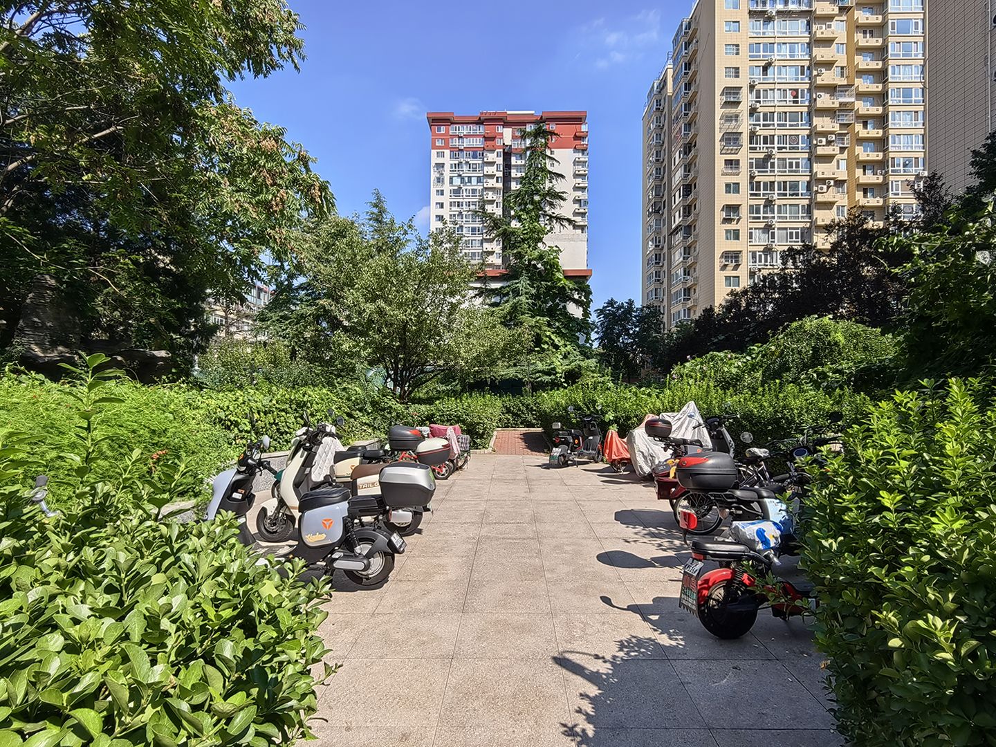 富莱茵花园 environment