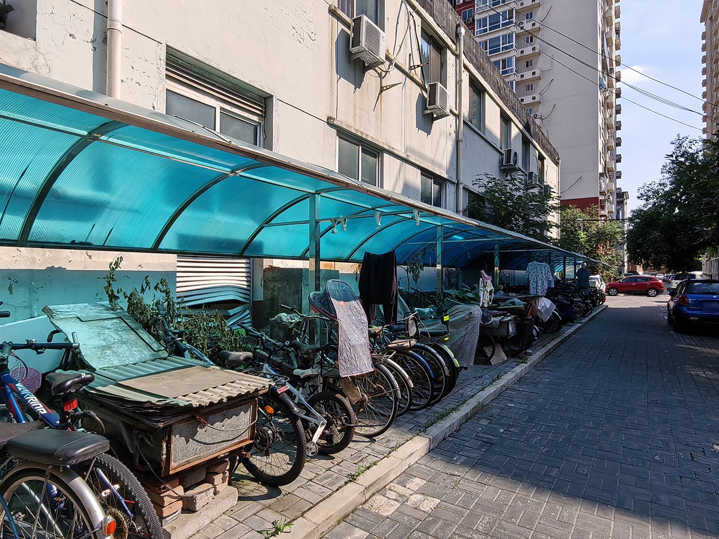 富莱茵花园 environment