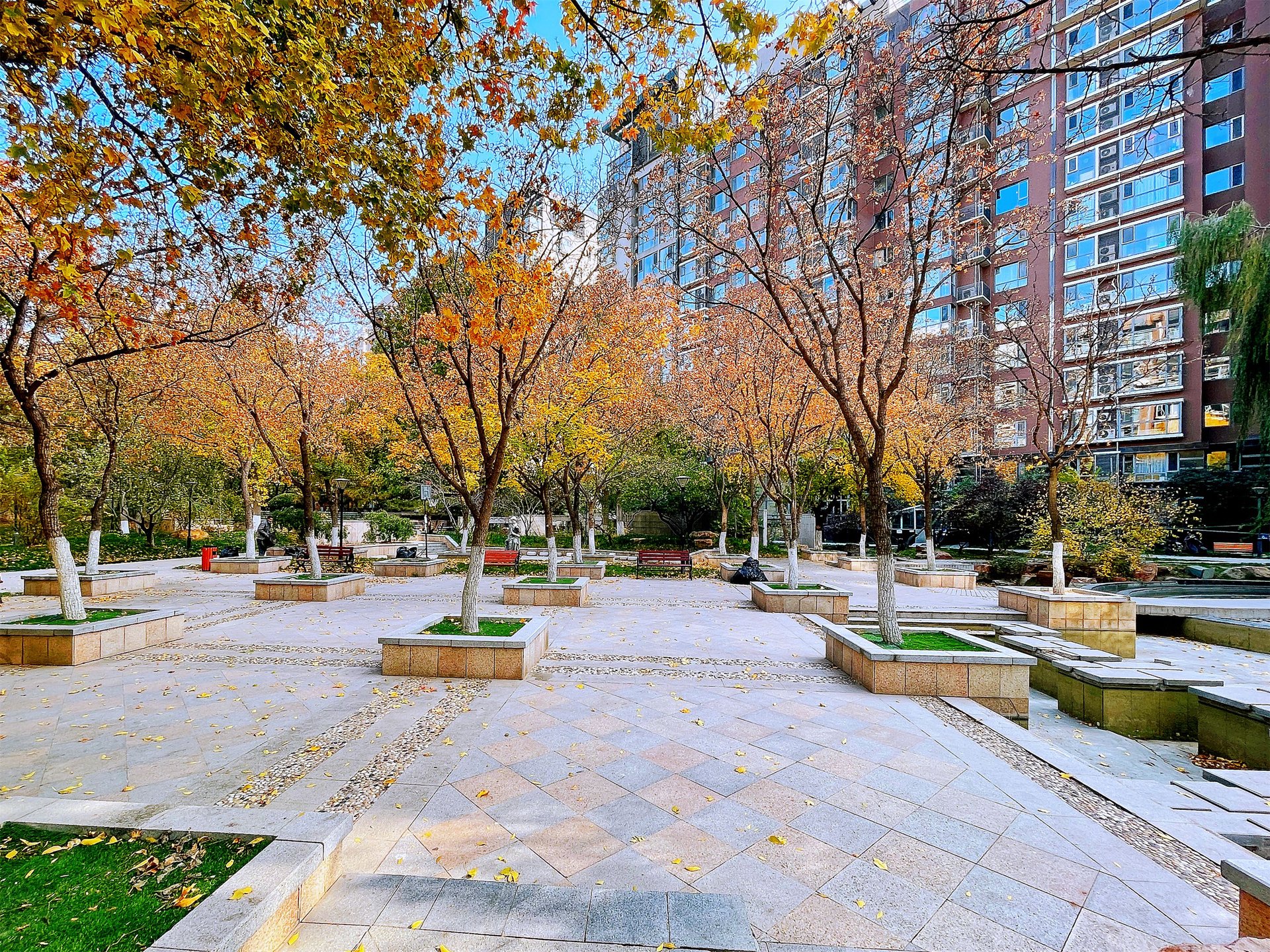 富力城B区 environment