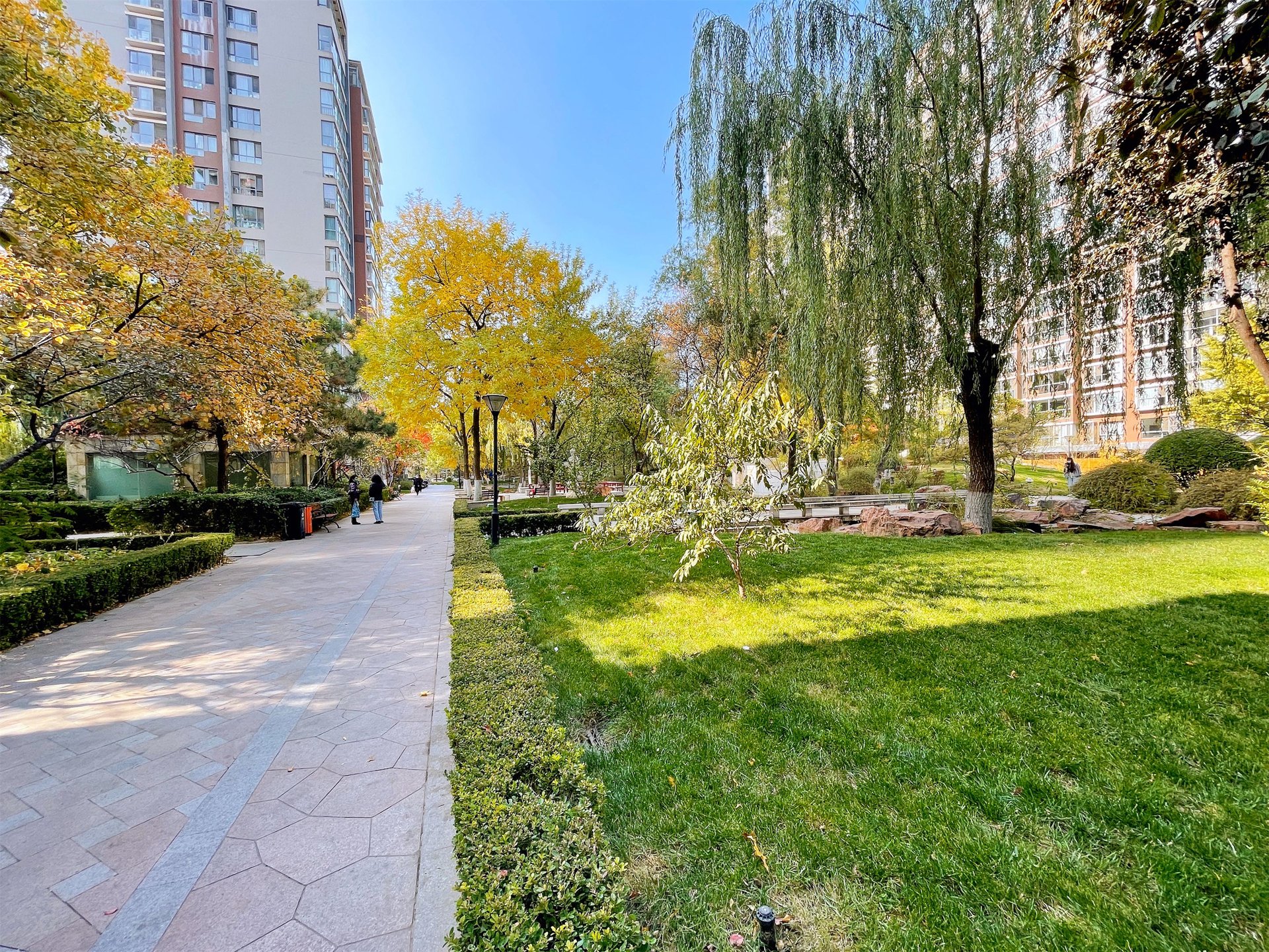 富力城C区 environment