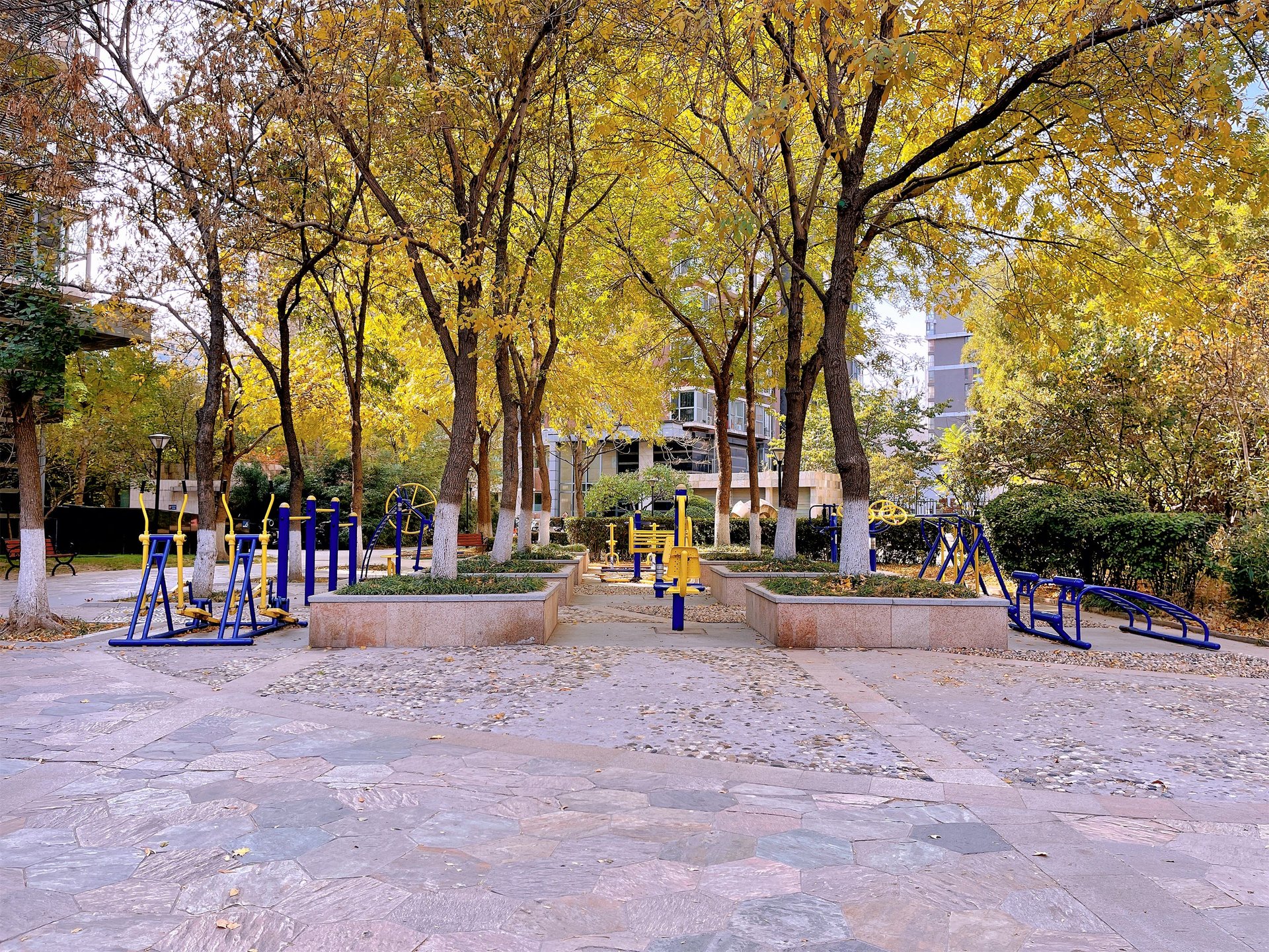 富力城C区 environment