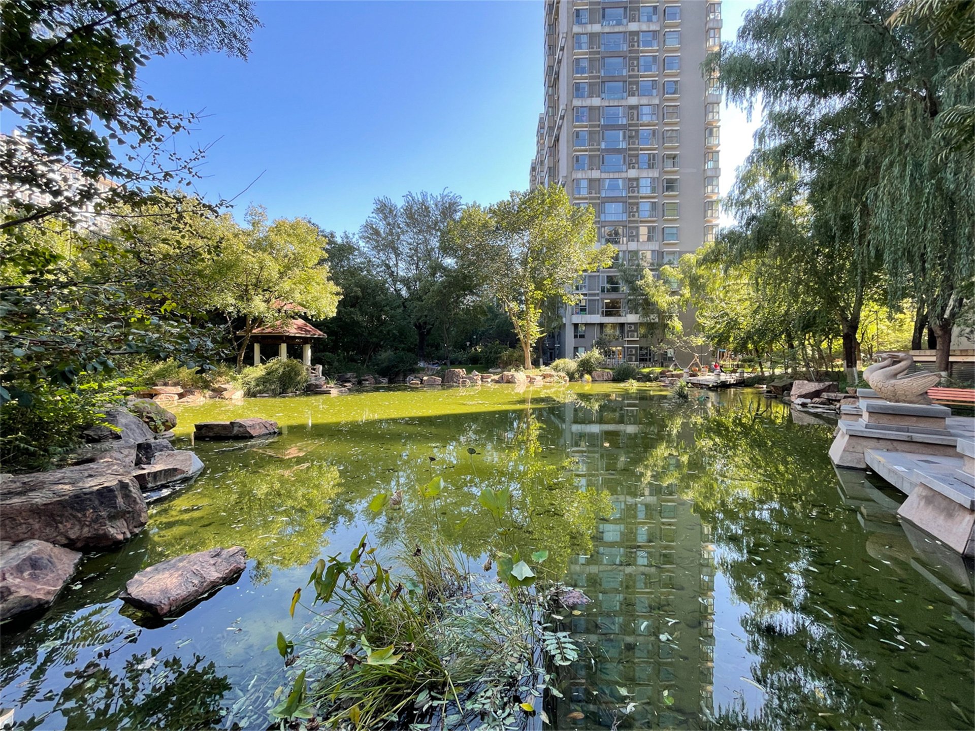 富力城D区 environment