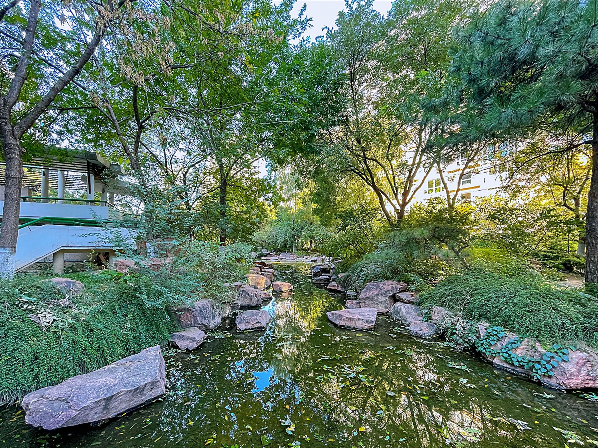 富力城D区 environment