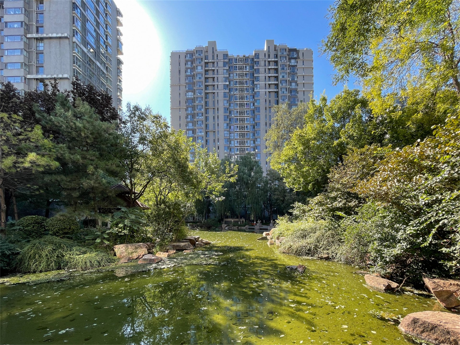 富力城D区 environment