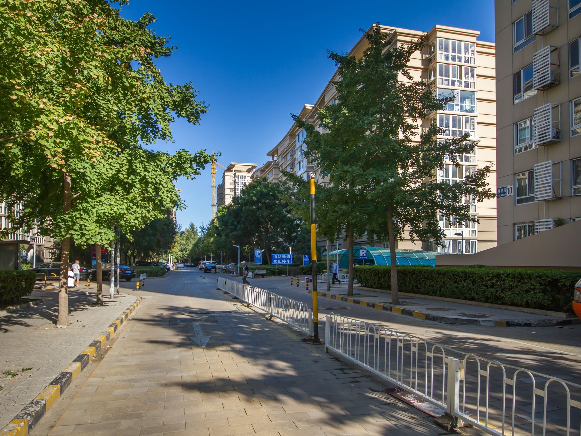 拂林园 environment