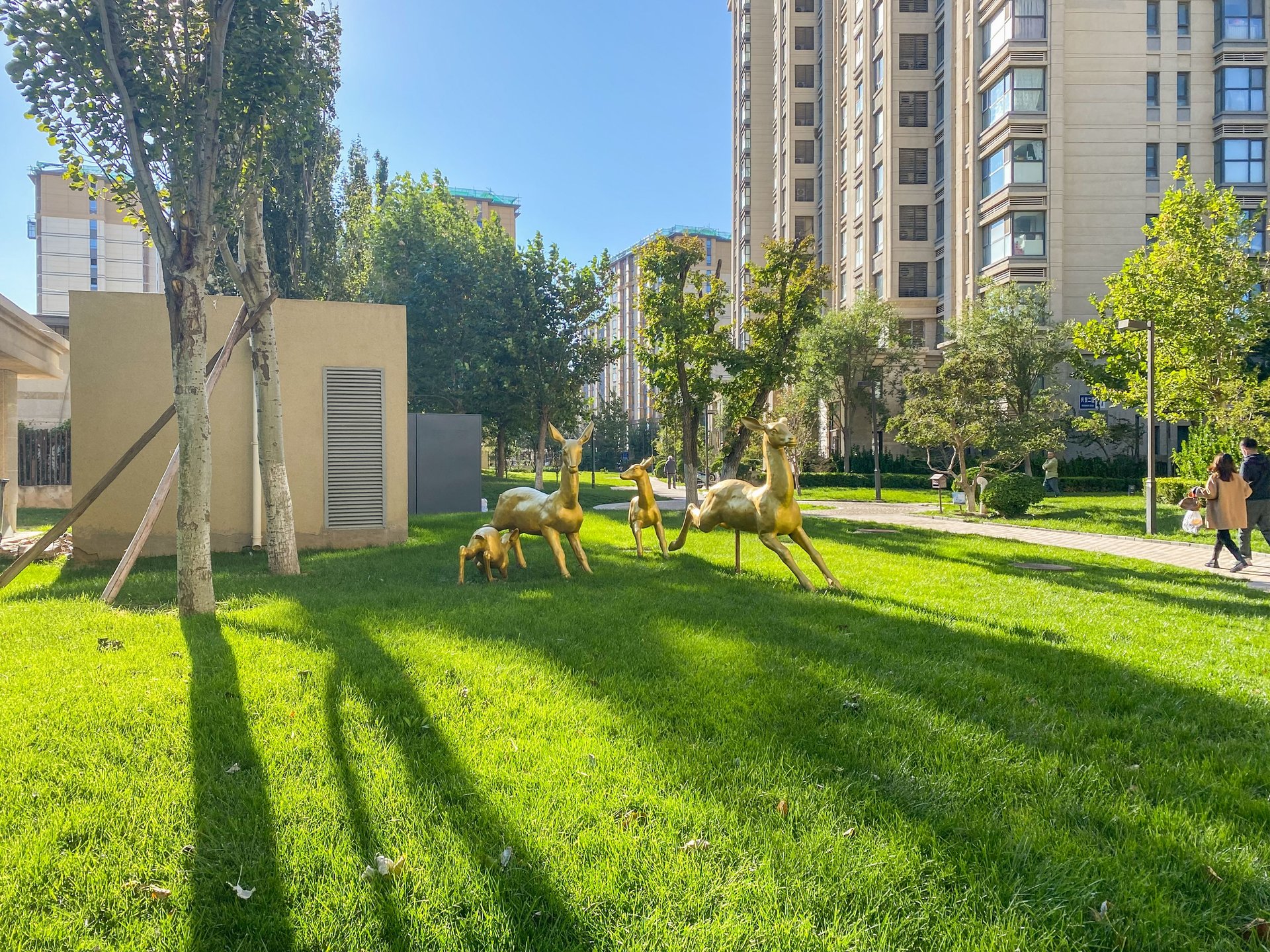 富力尚悦居A区 environment