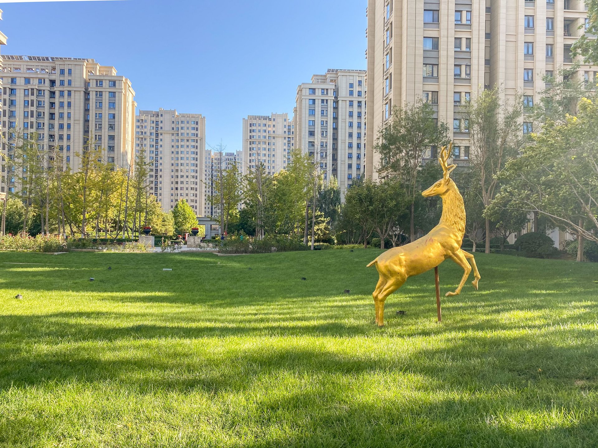 富力尚悦居A区 environment