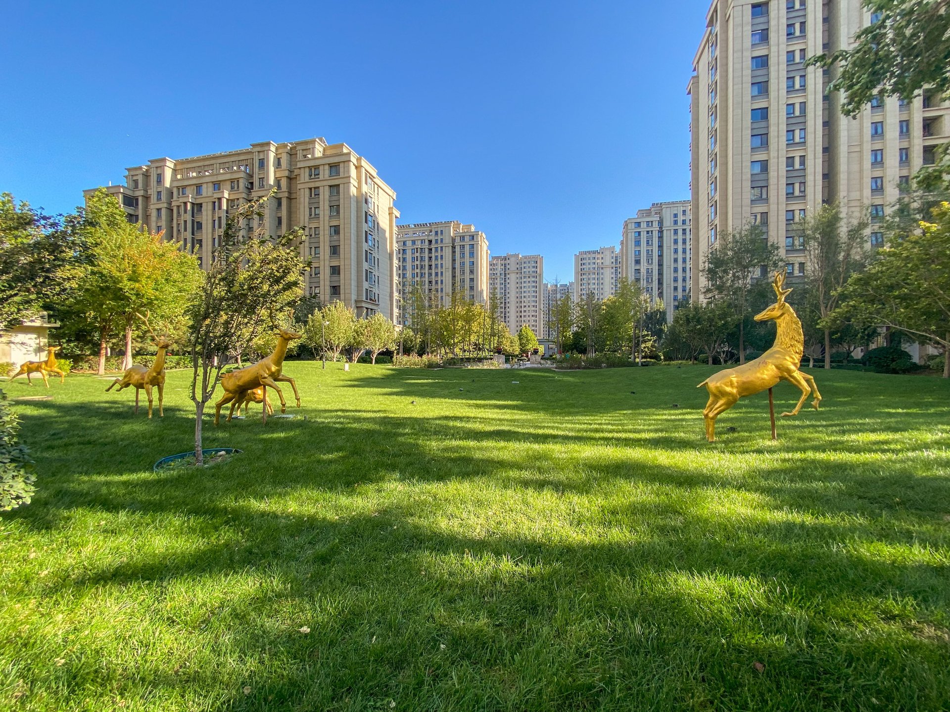 富力尚悦居A区 environment