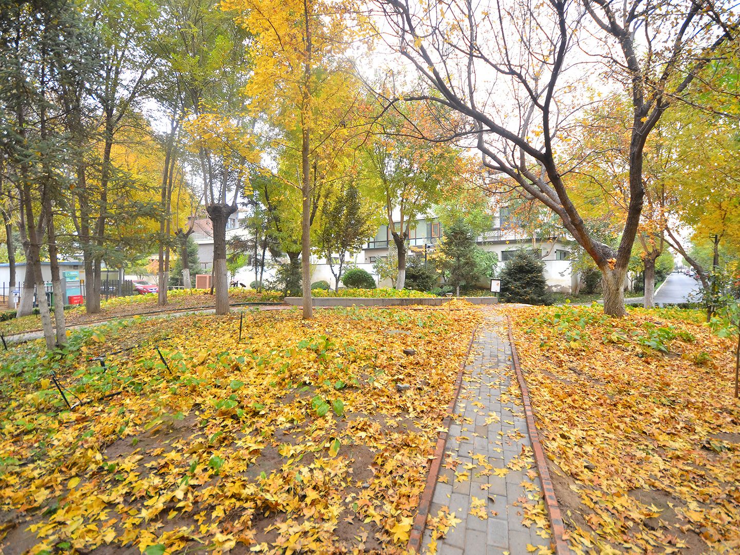 富力湾 environment