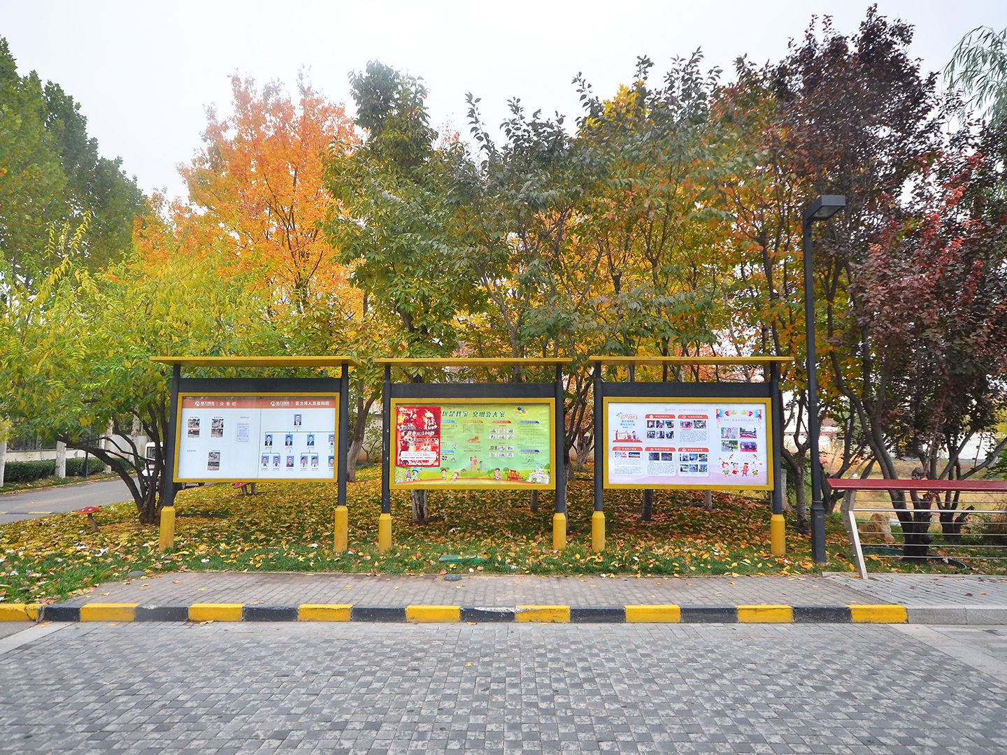 富力湾 environment