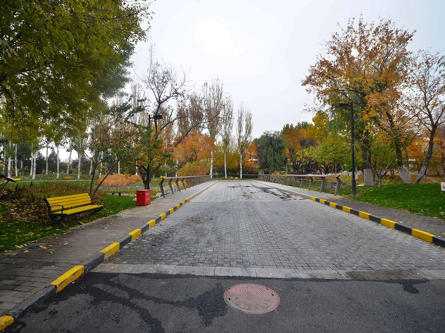 富力湾 environment