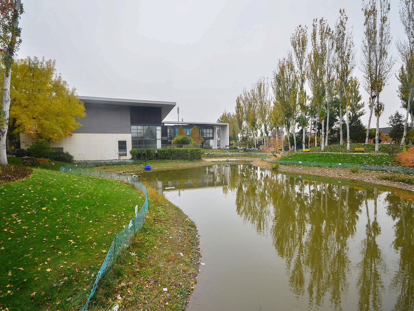 富力湾 environment