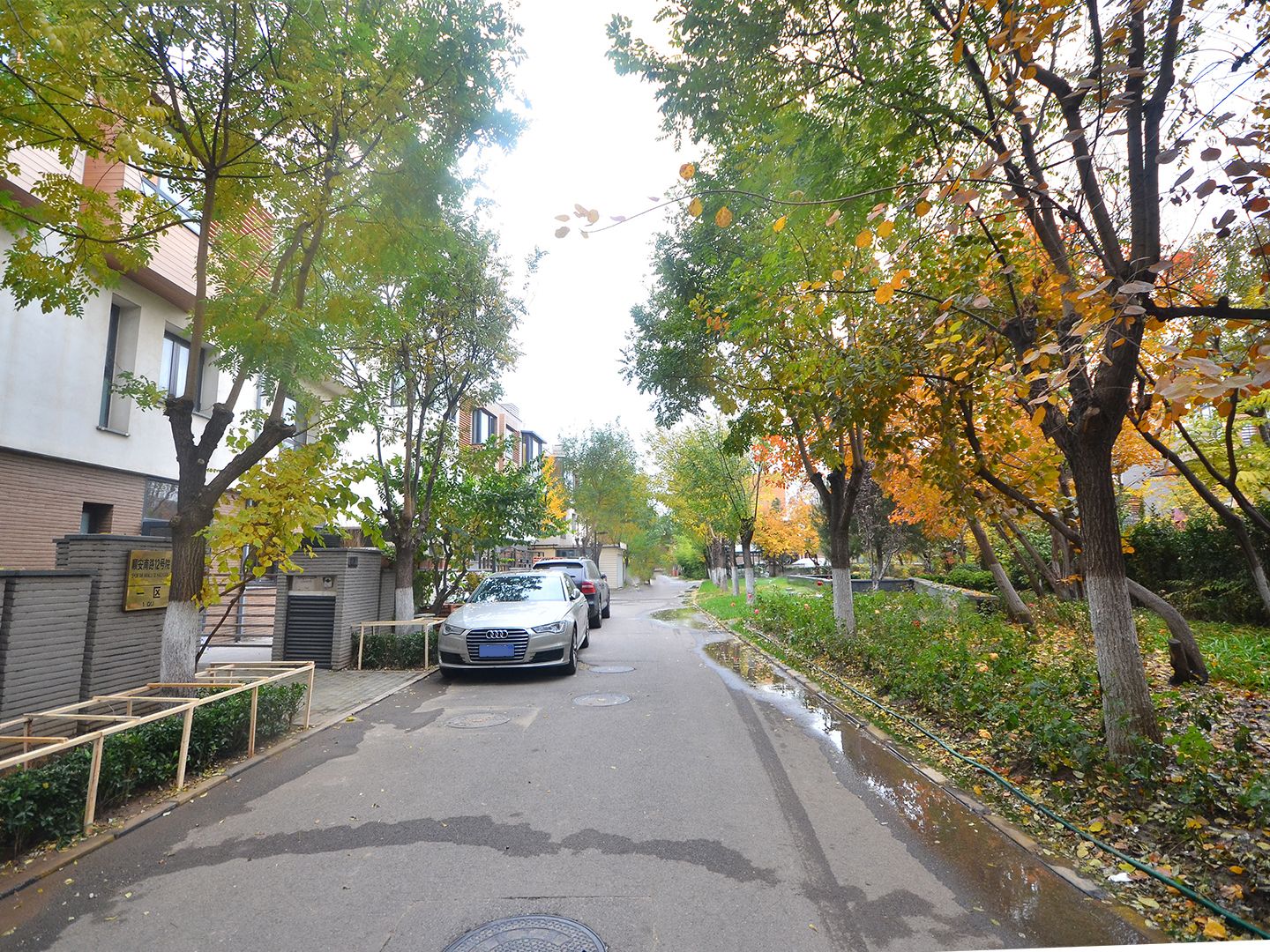 富力湾 environment