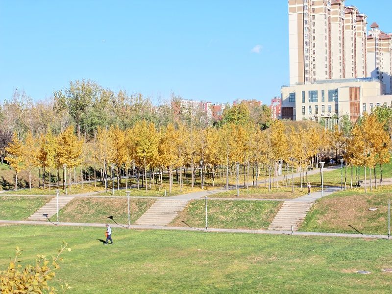 富力又一城C区 environment