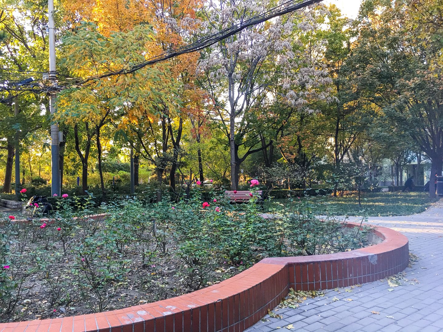 芙蓉里 environment