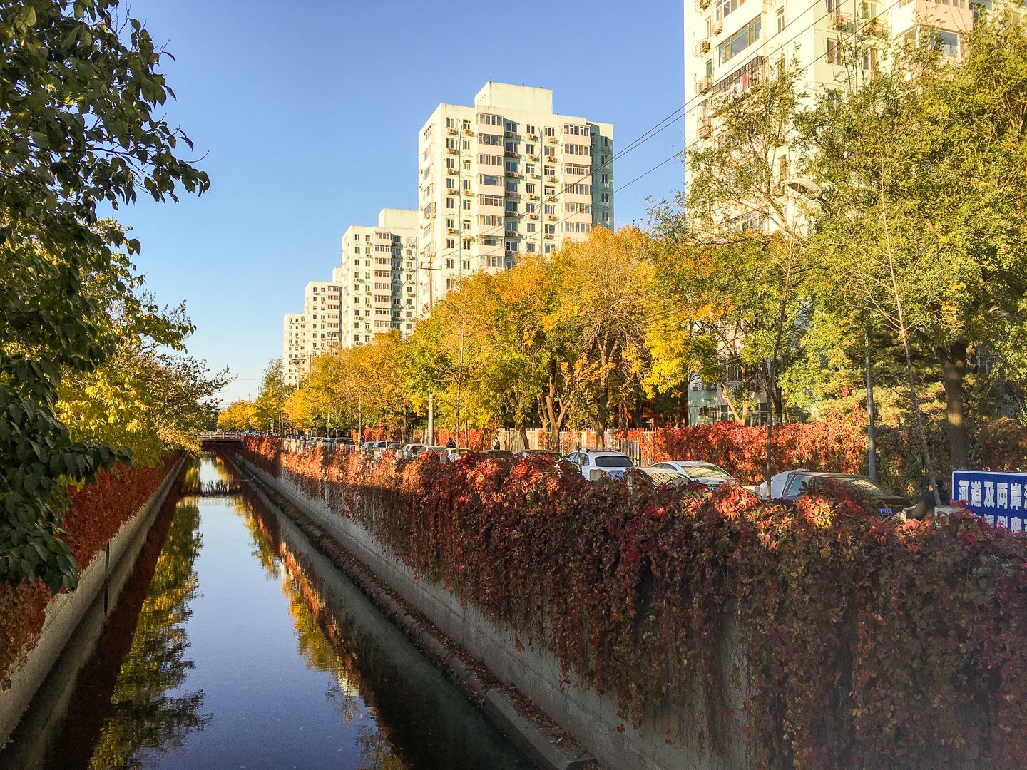 芙蓉里 environment