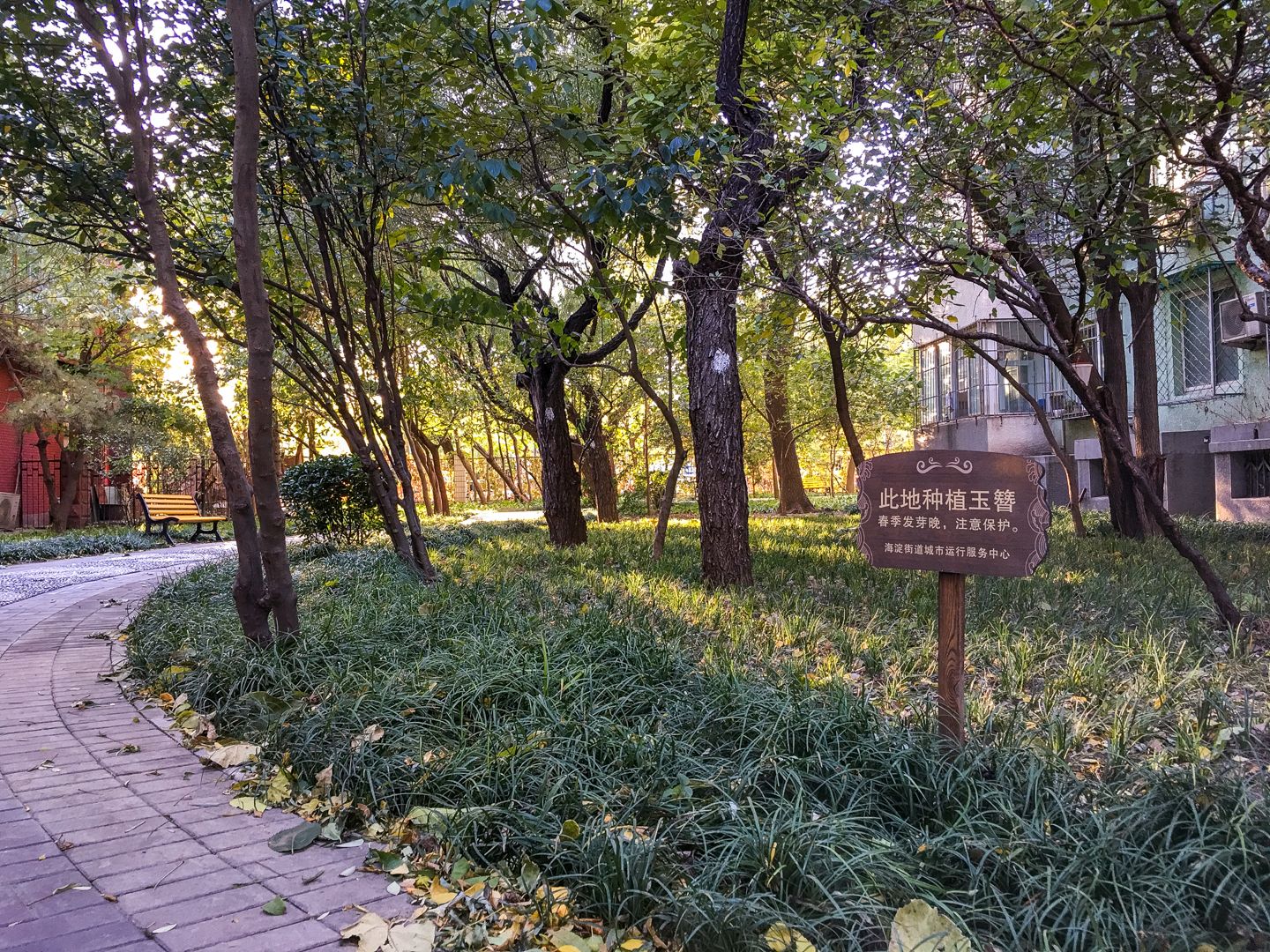 芙蓉里 environment