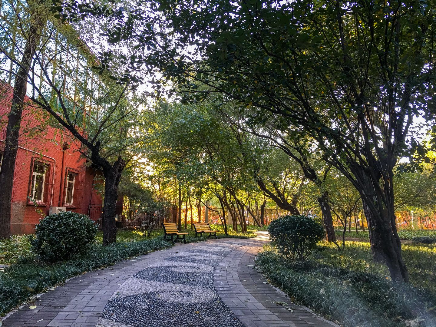 芙蓉里 environment