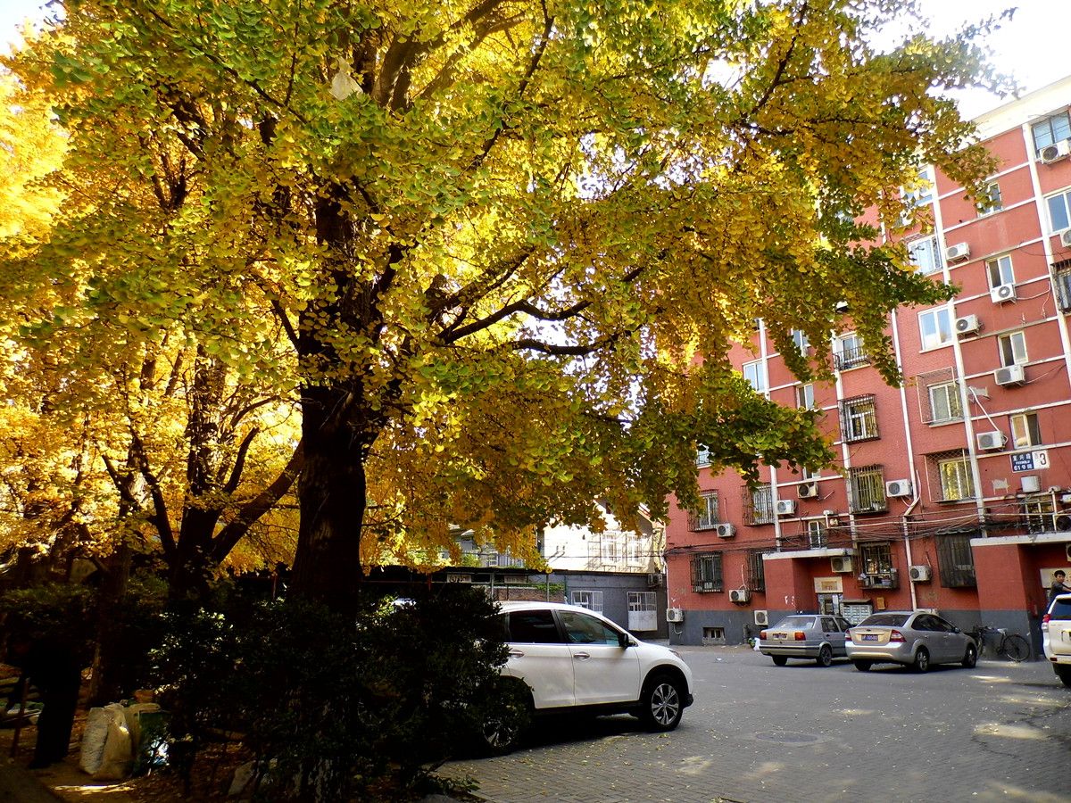 复兴路61号院 environment