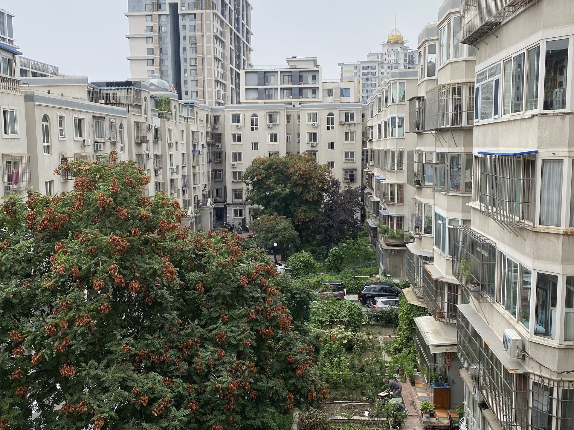 富卓苑 environment