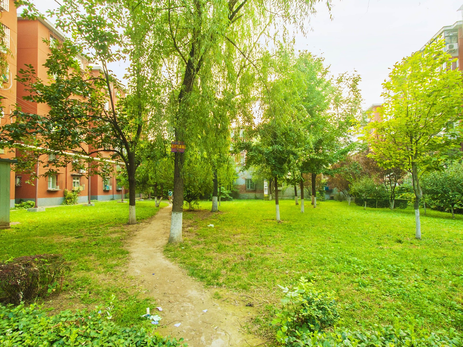 甘露家园 environment