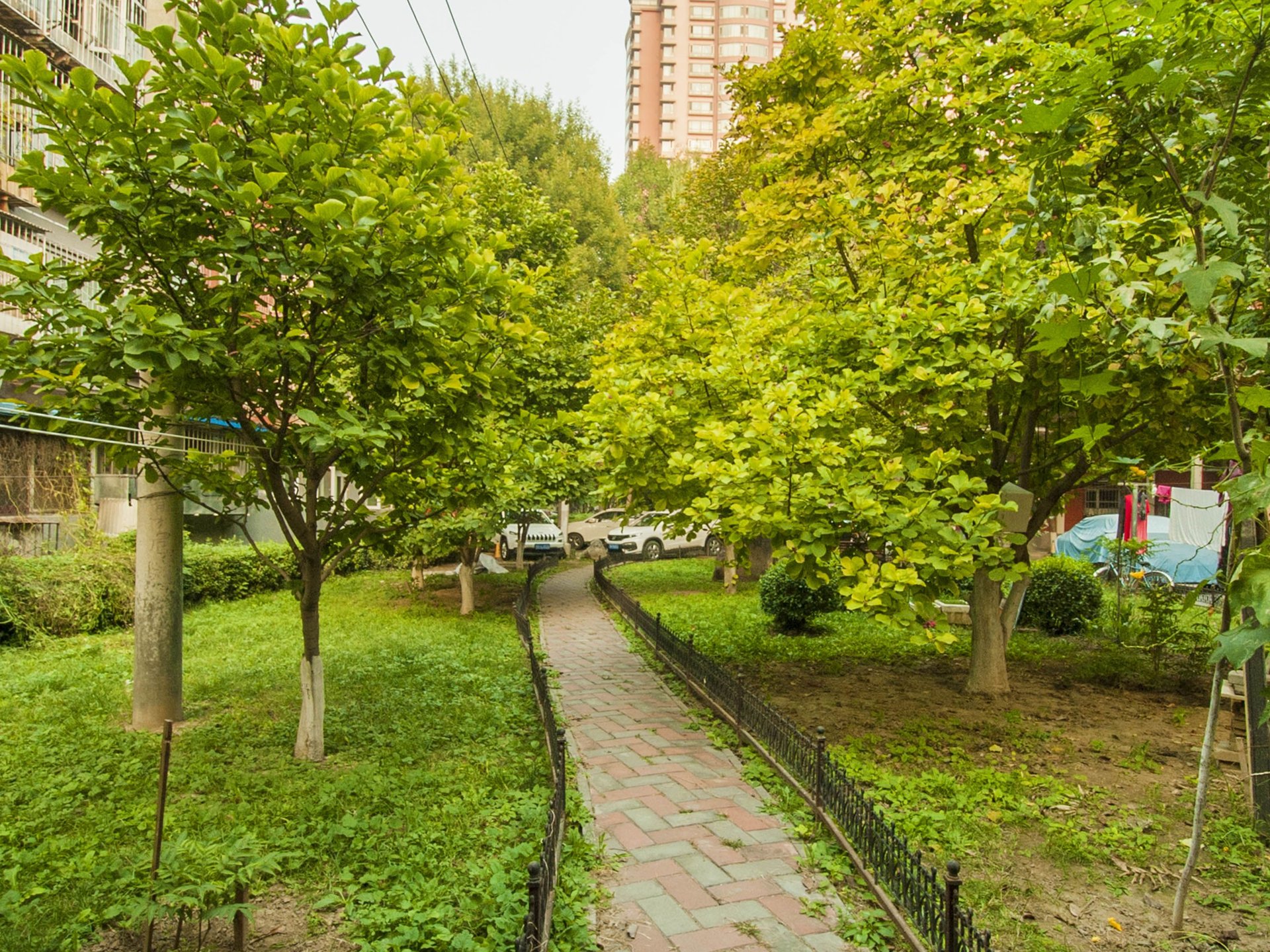 甘露家园 environment