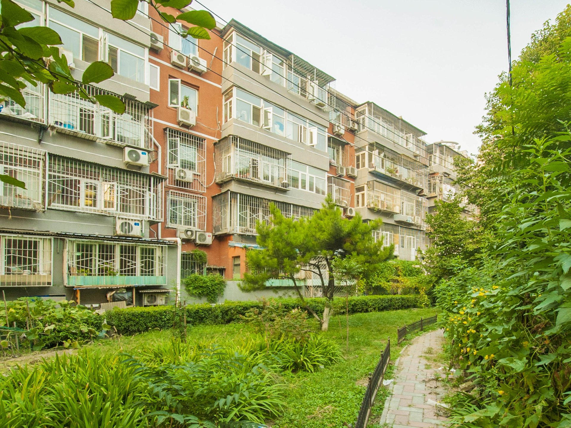 甘露家园 environment